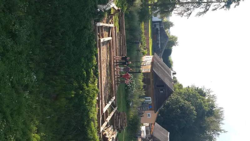 Территория замка